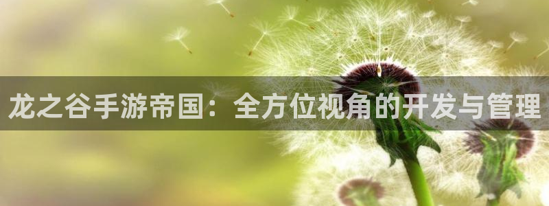 巅峰国际注册：龙之谷手游帝国：全方位视角的开发与管理