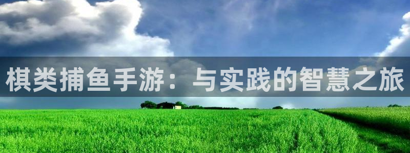 巅峰国际首页：棋类捕鱼手游：与实践的智慧之旅