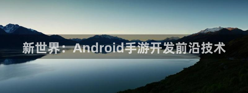 巅峰国际下载：新世界：Android手游开发前沿技术