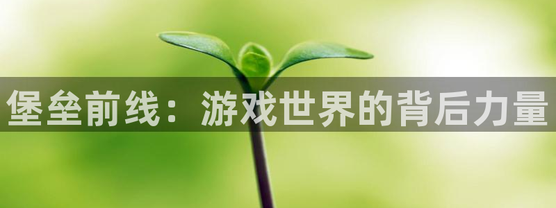 巅峰国际官网：堡垒前线：游戏世界的背后力量