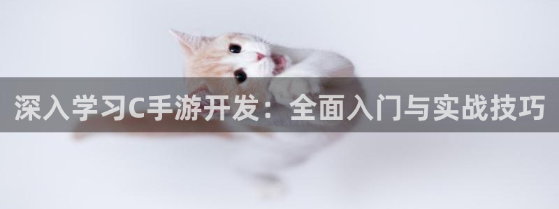 巅峰国际：深入学习C手游开发：全面入门与实战技巧
