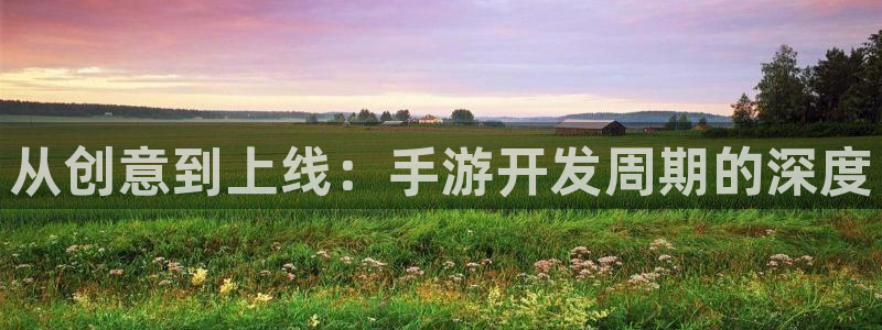 巅峰国际官网：从创意到上线：手游开发周期的深度