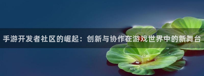 巅峰国际平台：手游开发者社区的崛起：创新与协作在游戏世界中的
