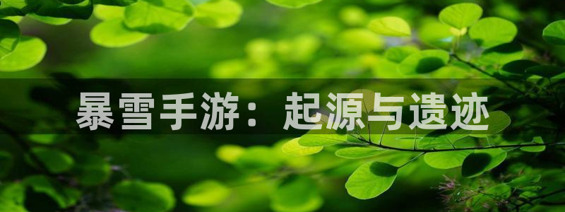 巅峰国际平台：暴雪手游：起源与遗迹
