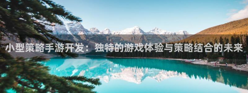 巅峰国际平台：小型策略手游开发：独特的游戏体验与策略结合的未