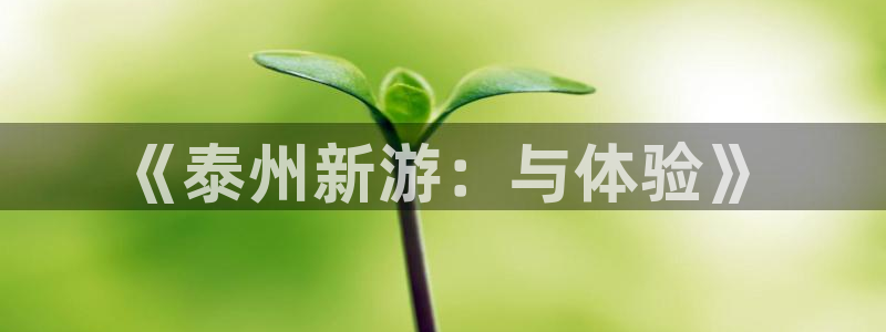 巅峰国际登陆：《泰州新游：与体验》