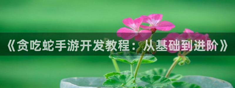巅峰国际官网：《贪吃蛇手游开发教程：从基础到进阶》