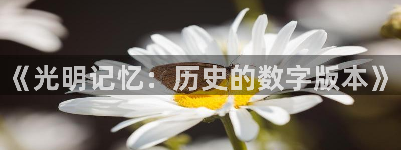 巅峰国际：《光明记忆：历史的数字版本》