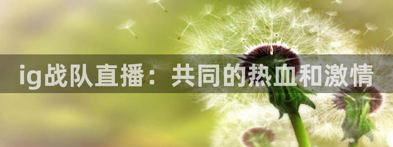 so米体育app：ig战队直播：共同的热血和激情