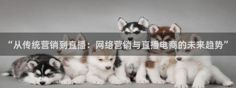 so米直播体育直播：“从传统营销到直播：网络营销与直播电商的未来趋势”