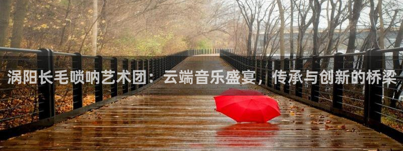 nbaso米直播：涡阳长毛唢呐艺术团：云端音乐盛宴，传承与创新的桥梁