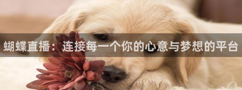 so米体育网页版：蝴蝶直播：连接每一个你的心意与梦想的平台